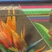 Bella Domme