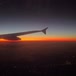 Bella Domme