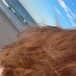 Bella Domme