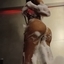 Lorena 21