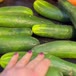 Emme White