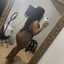 India Pimentin