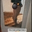 Anna Morgana