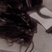 Lara Baroni