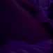 Bella Secreta