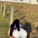 Lucinha
