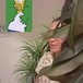 Ágatha