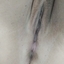 Coroa Sereia