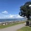 Queen Nytria