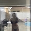Luana X 22