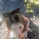 Mazikeen