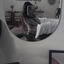 Katsu Sucubus