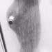 Kami Gaúcha
