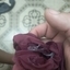 GG Rio