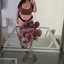 Luna Celeste