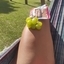 Bia Pompom