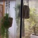 Carolina Lis