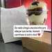 Sabri Casada