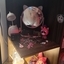 Thay Bunny