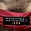 Domm King