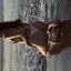 Cléo Monteiro