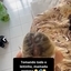 Terror das Musas