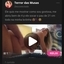 Terror das Musas