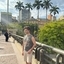 S Silvva