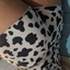 Pammyi