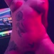 Lolla Bunny