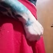 Branka 93