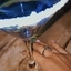 Deusa Amora