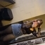 Loira Gotica