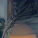 Isa Delicinha