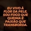 Bonecazinha