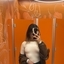 Bad Maddy