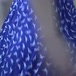 Midôri Japinha